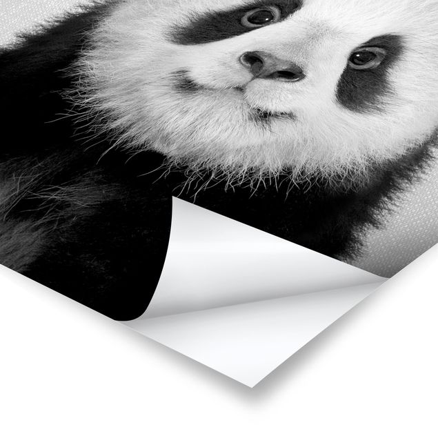 Gal Design Bilder Baby Panda Prian Schwarz Weiß