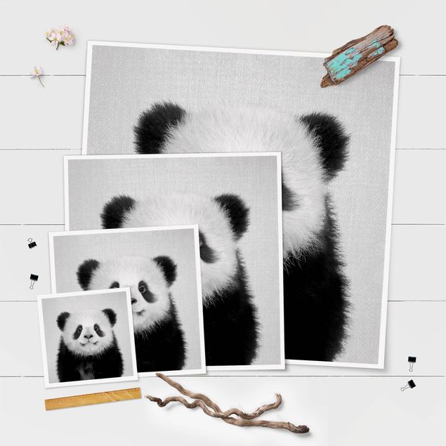 schöne Bilder Baby Panda Prian Schwarz Weiß