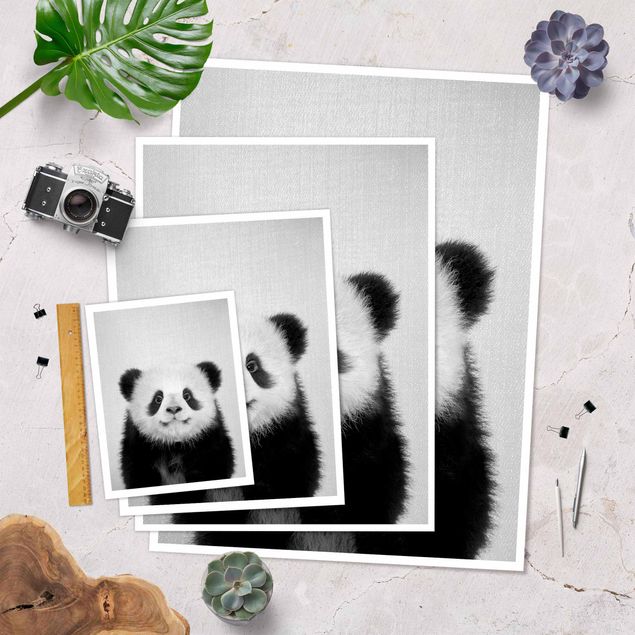 Bilder Baby Panda Prian Schwarz Weiß