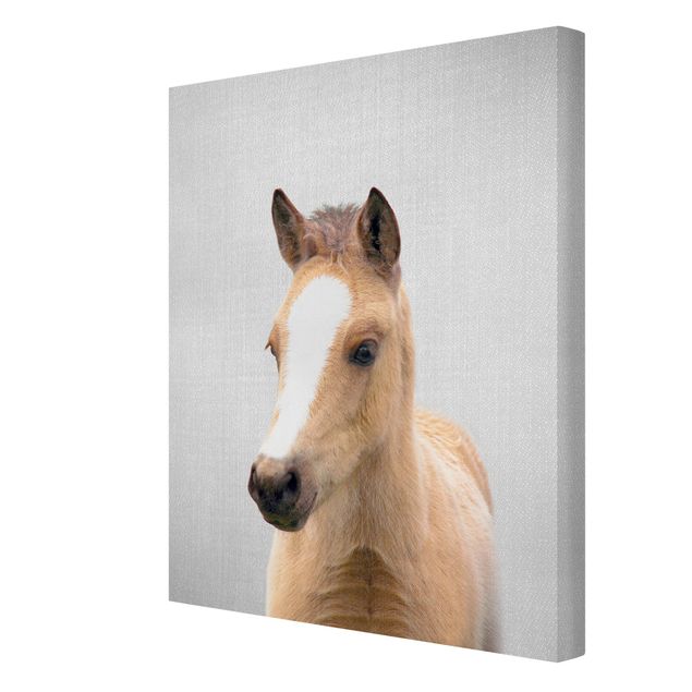 Wandbilder Modern Baby Pferd Philipp