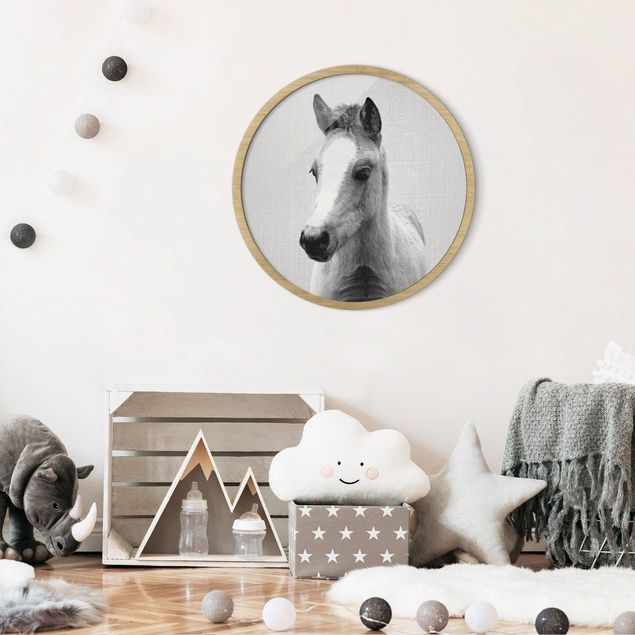 schwarz-weiß Bilder mit Rahmen Baby Pferd Philipp Schwarz Weiß