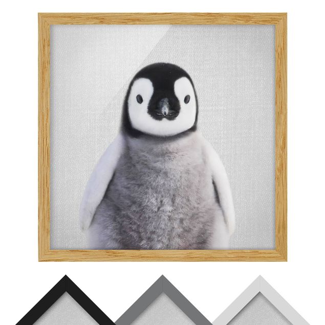 Gal Design Kunstdrucke Baby Pinguin Pepe