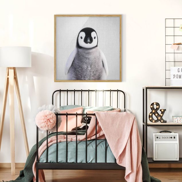 schwarz-weiß Bilder mit Rahmen Baby Pinguin Pepe