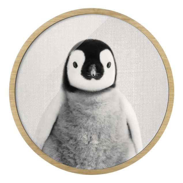Gerahmte Bilder Rund Baby Pinguin Pepe Schwarz Weiß