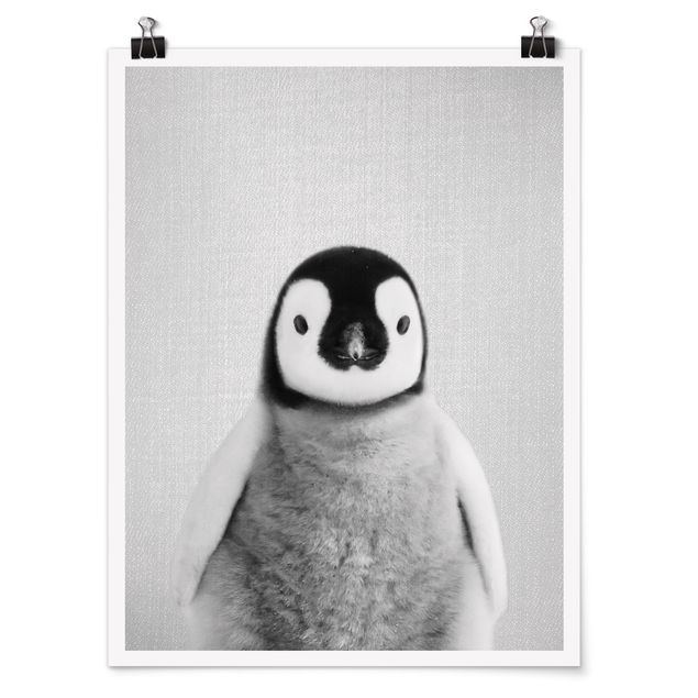 Wandbilder Modern Baby Pinguin Pepe Schwarz Weiß