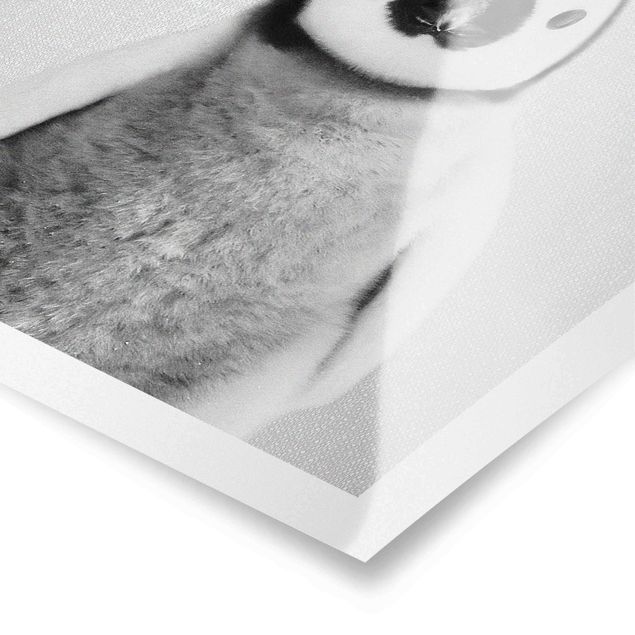 Gal Design Kunstdrucke Baby Pinguin Pepe Schwarz Weiß