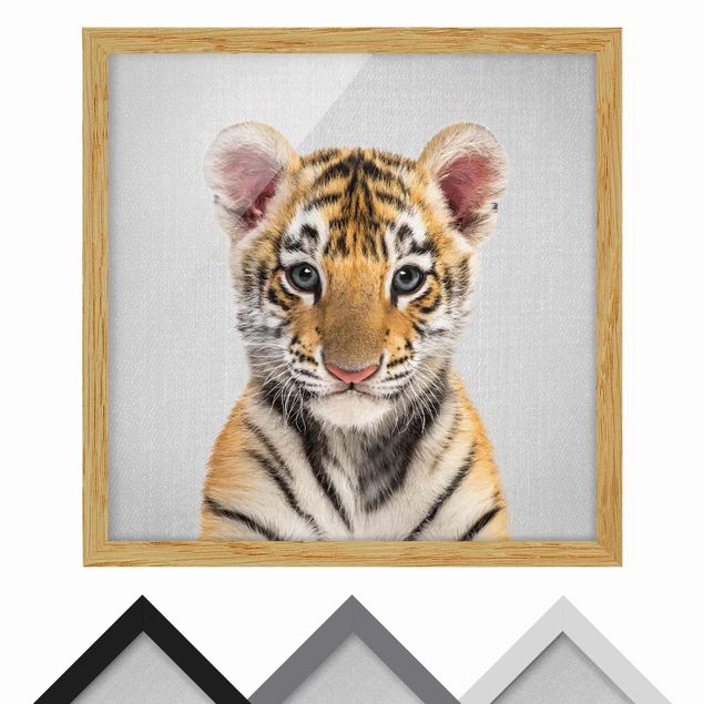 Wandbilder Schwarz-Weiß Baby Tiger Thor