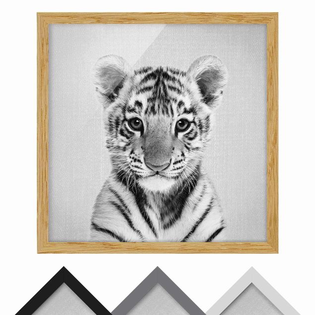 Wandbilder Schwarz-Weiß Baby Tiger Thor Schwarz Weiß