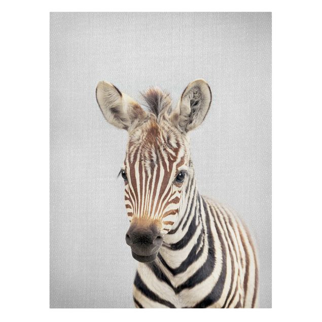 Leinwandbilder schwarz-weiß Baby Zebra Zoey