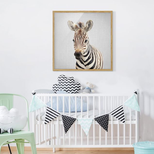 Wandbilder Zebras Baby Zebra Zoey
