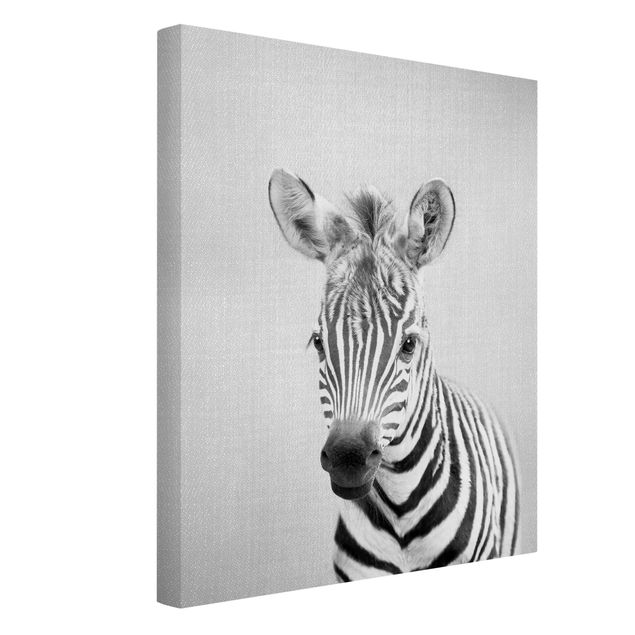 Wandbilder Zebras Baby Zebra Zoey Schwarz Weiß