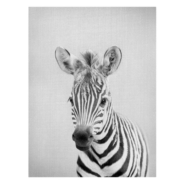 Leinwand schwarz-weiß Baby Zebra Zoey Schwarz Weiß