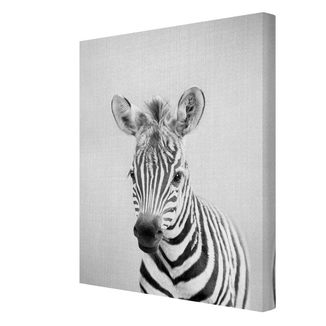 Leinwandbilder Tiere Baby Zebra Zoey Schwarz Weiß