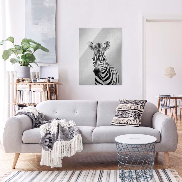 Glasbilder Tiere Baby Zebra Zoey Schwarz Weiß
