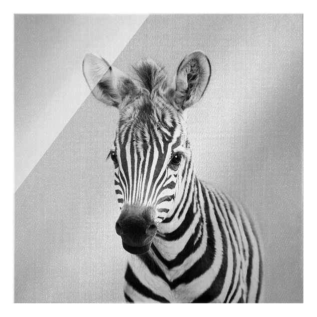 Wandbilder Modern Baby Zebra Zoey Schwarz Weiß