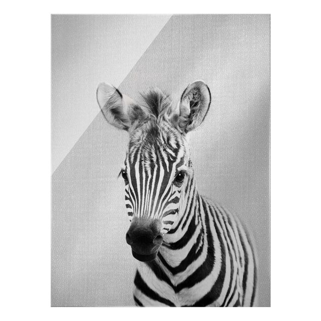 Wandbilder Modern Baby Zebra Zoey Schwarz Weiß