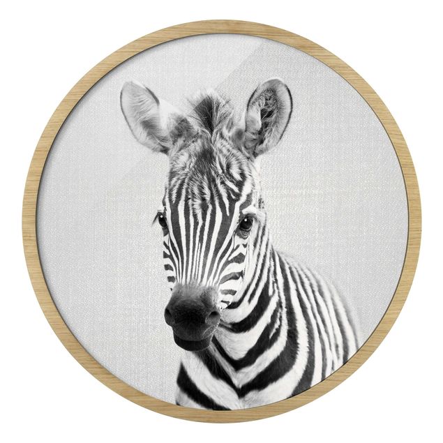 Gerahmte Bilder Tiere Baby Zebra Zoey Schwarz Weiß