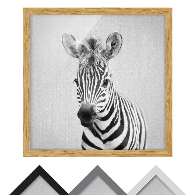 Wandbilder Schwarz-Weiß Baby Zebra Zoey Schwarz Weiß