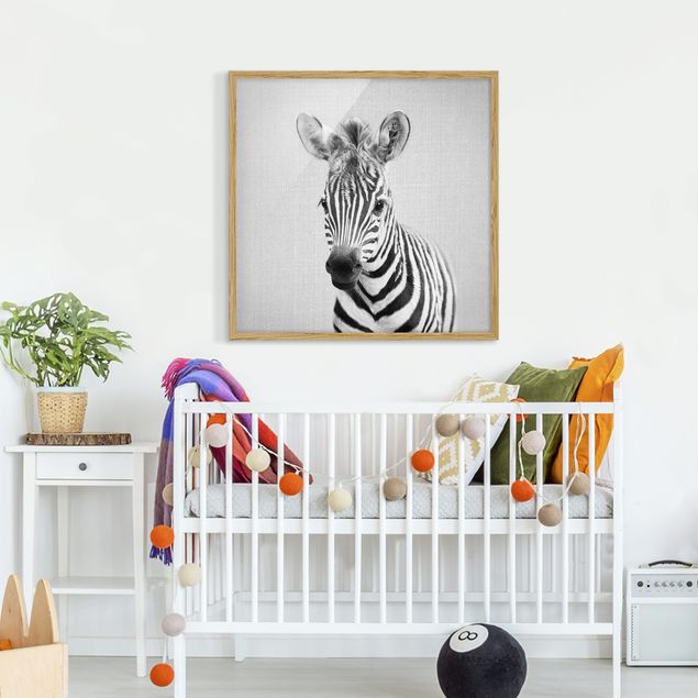 schwarz-weiß Bilder gerahmt Baby Zebra Zoey Schwarz Weiß