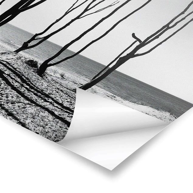 Poster Meer Bäume an der Ostsee