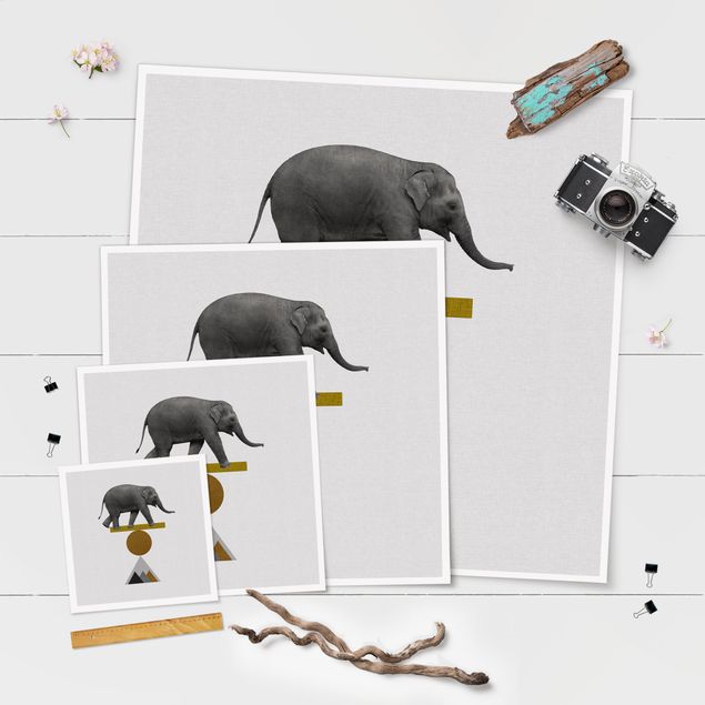 Poster kaufen Balancekunst Elefant