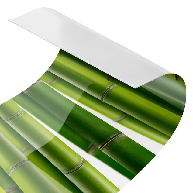Küchenrückwand - Bambuspflanzen
