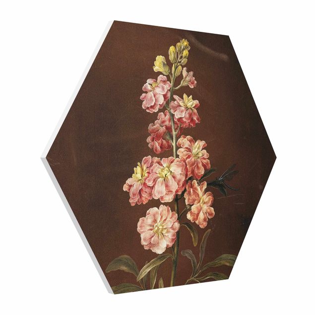 Wandbilder Kunstdrucke Barbara Regina Dietzsch - Eine rosa Garten-Levkkoje