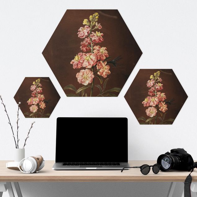 Hexagon Bilder Barbara Regina Dietzsch - Eine rosa Garten-Levkkoje