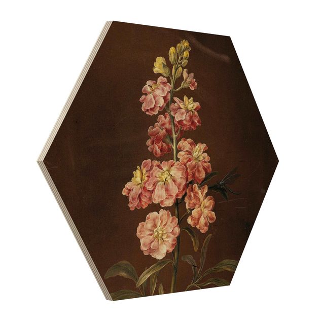 Wandbilder Blumen Barbara Regina Dietzsch - Eine rosa Garten-Levkkoje