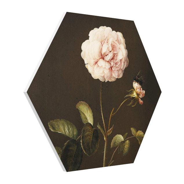 Wandbilder Kunstdrucke Barbara Regina Dietzsch - Essig-Rose mit Hummel