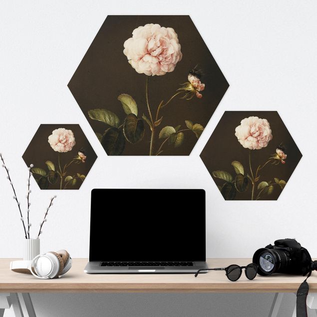 Hexagon Bilder Barbara Regina Dietzsch - Essig-Rose mit Hummel