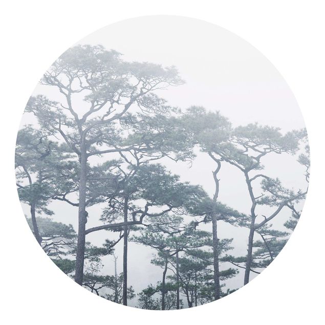 Tapete Natur Baumkronen im Nebel