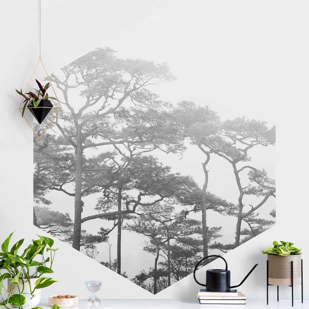 Wanddeko Küche Baumkronen im Nebel Schwarz Weiß