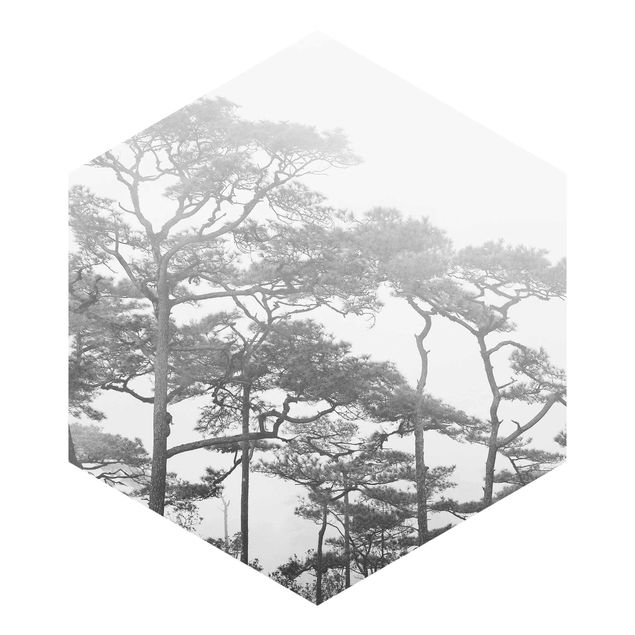 Hexagon Mustertapete selbstklebend - Baumkronen im Nebel Schwarz Weiß