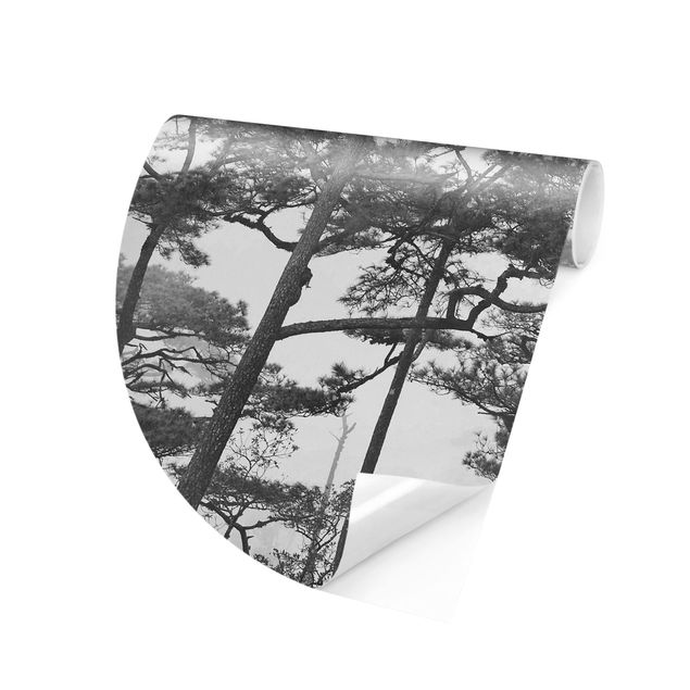 moderne Fototapete Baumkronen im Nebel Schwarz Weiß