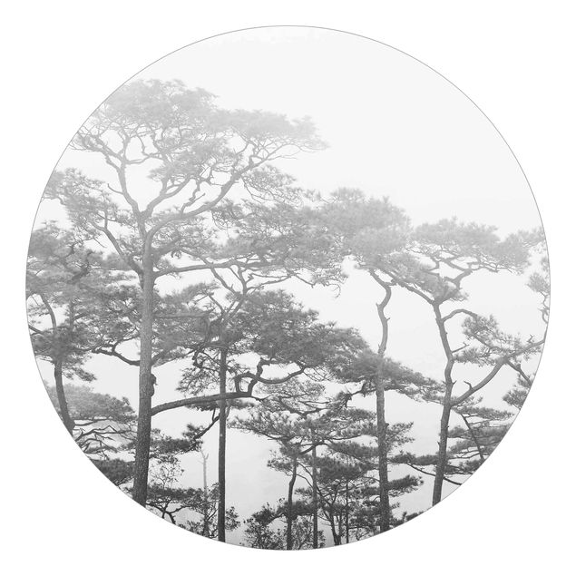 Fototapete Schwarz-Weiß Baumkronen im Nebel Schwarz Weiß