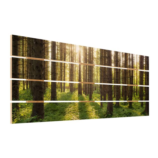 Wandbild Holz Sonnenstrahlen in grünem Wald