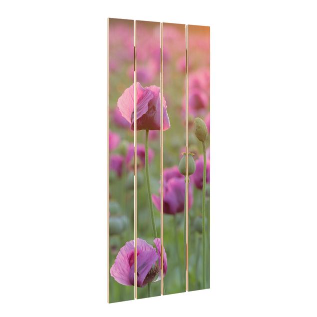 Holzbilder Violette Schlafmohn Blumenwiese im Frühling