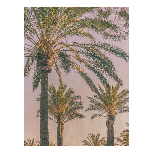 Holzbilder Blumen Palmen im Sonnenuntergang