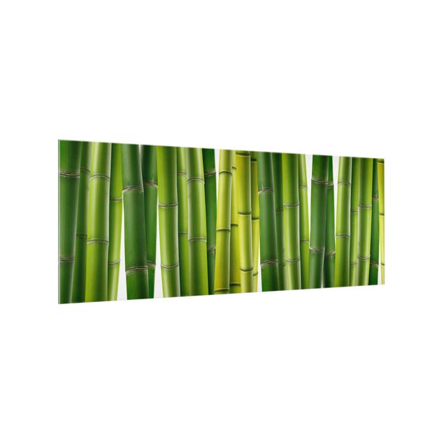 Glasrückwand Küche Bambuspflanzen