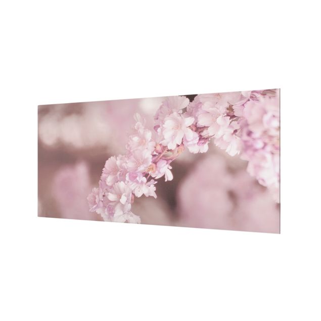 Spritzschutz Glas - Kirschblüte im Violetten Licht - Querformat 2:1