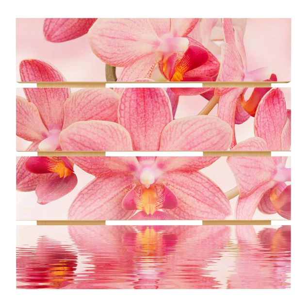 Wandbild Holz Rosa Orchideen auf Wasser