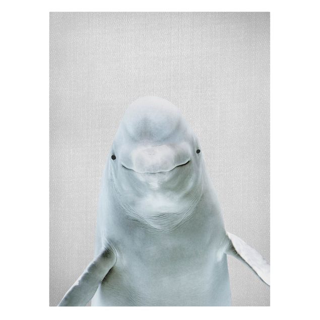 Leinwandbilder Tiere Belugawal Bob