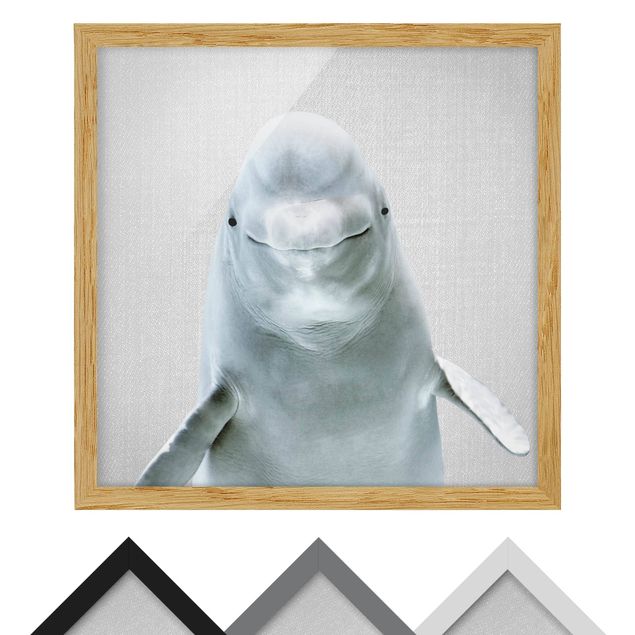Wandbilder Schwarz-Weiß Belugawal Bob