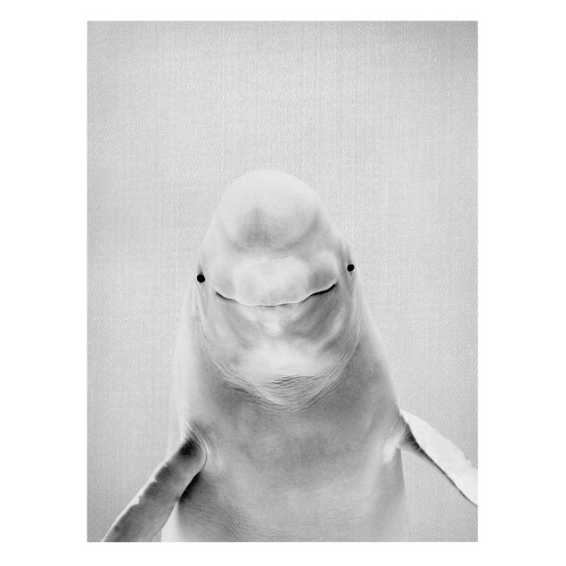 Leinwandbilder Tiere Belugawal Bob Schwarz Weiß