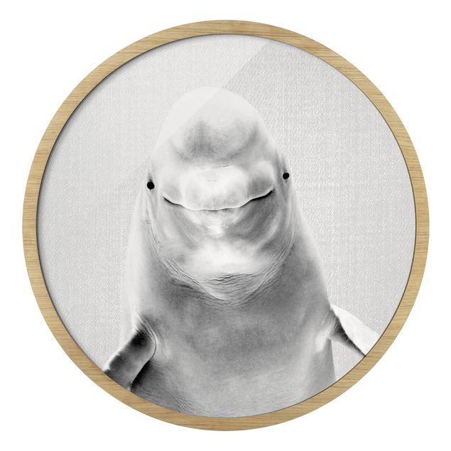 Tierbilder mit Rahmen Belugawal Bob Schwarz Weiß