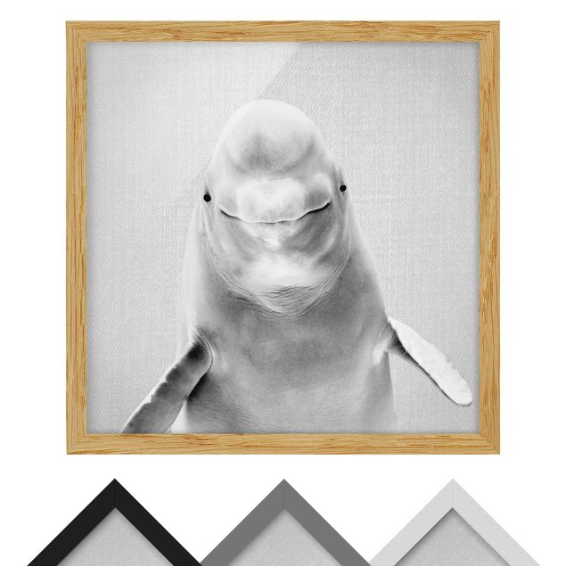 Wandbilder Schwarz-Weiß Belugawal Bob Schwarz Weiß