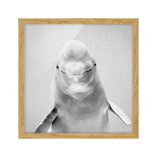 Gerahmte Bilder Tiere Belugawal Bob Schwarz Weiß