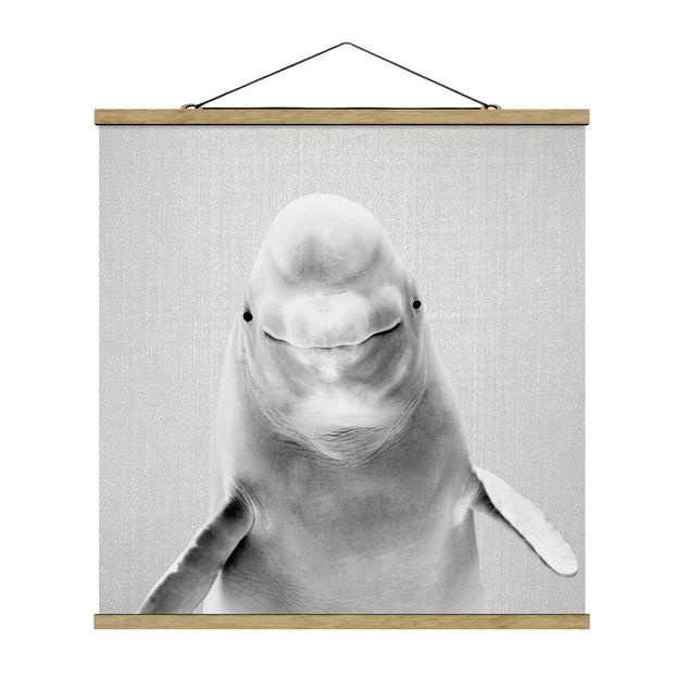 Poster Tiere Belugawal Bob Schwarz Weiß