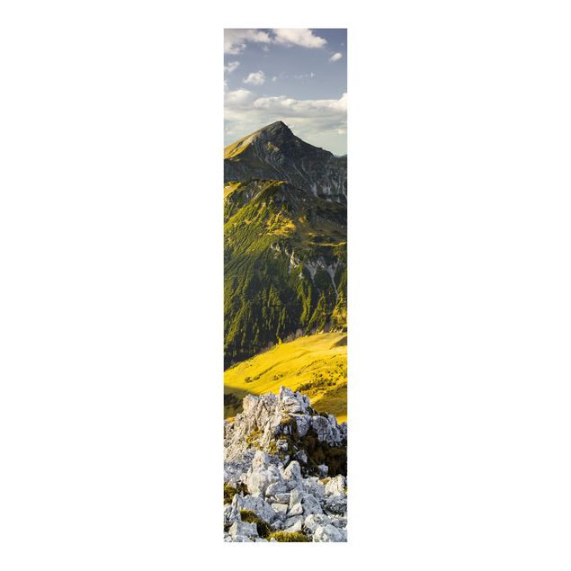Flächenvorhang Wald Berge und Tal der Lechtaler Alpen in Tirol
